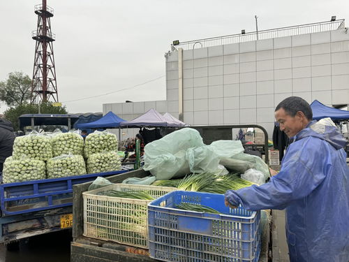 北京新發地市場 助推商戶打造農產品品牌，提升初級農產品價值