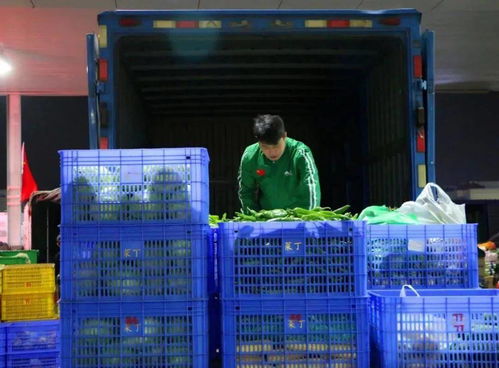 菜丁樂昌農產品交易中心 大型農副產品批發市場火爆招商，助力初級農產品流通