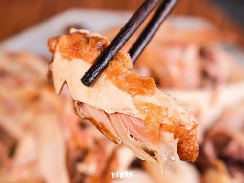 美食圈的隱藏BOSS 農業(yè)大學實驗室與初級農產品的奇妙碰撞